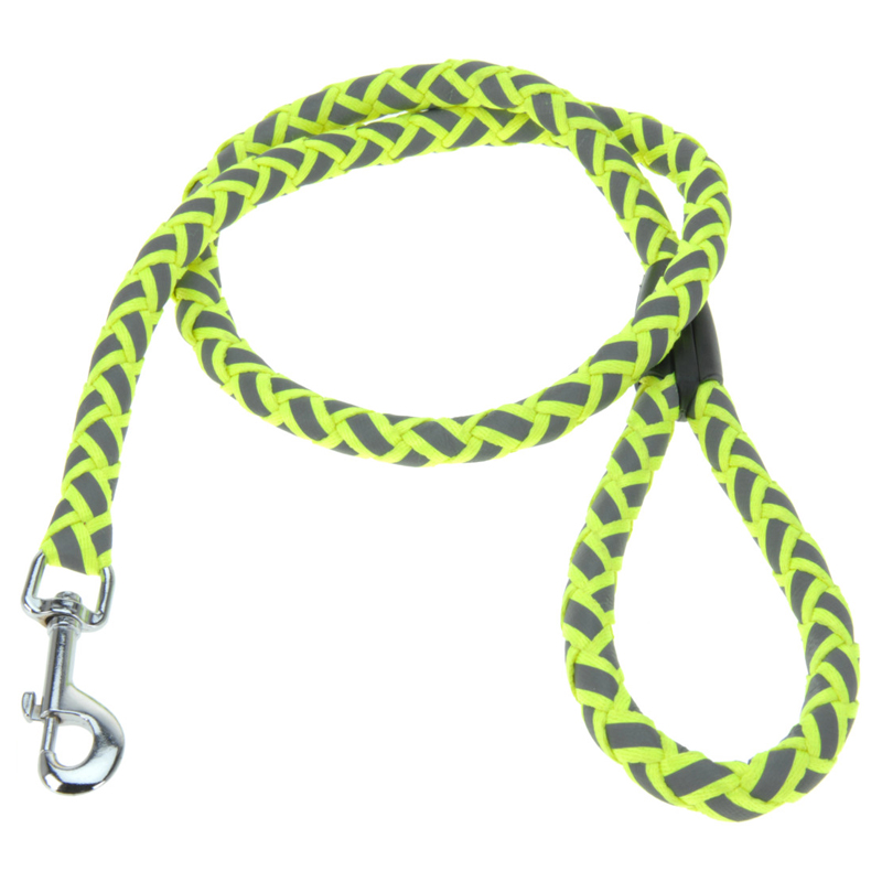 Collar Neon para Perro Pequeño