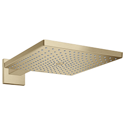 Cabeza de Ducha Raindance E 300 con Brazo Bronce Hansgrohe